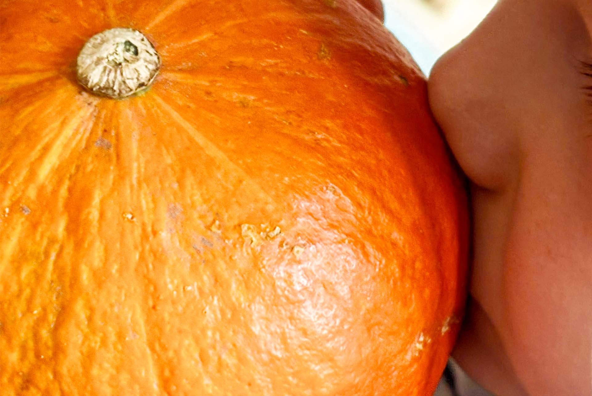Featured image for “Herbst­li­cher Back­spaß: Kür­bis­kekse gemein­sam backen”